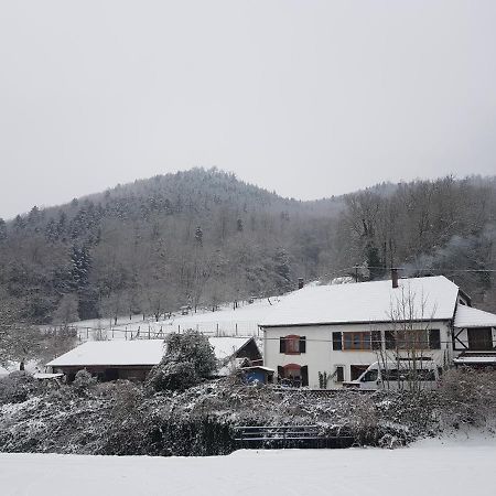 Gite Le Creux Chene Rombach-le-Franc Εξωτερικό φωτογραφία