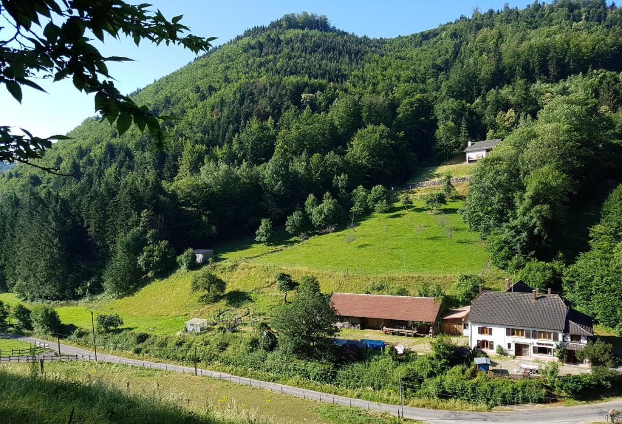 Gite Le Creux Chene Rombach-le-Franc Εξωτερικό φωτογραφία