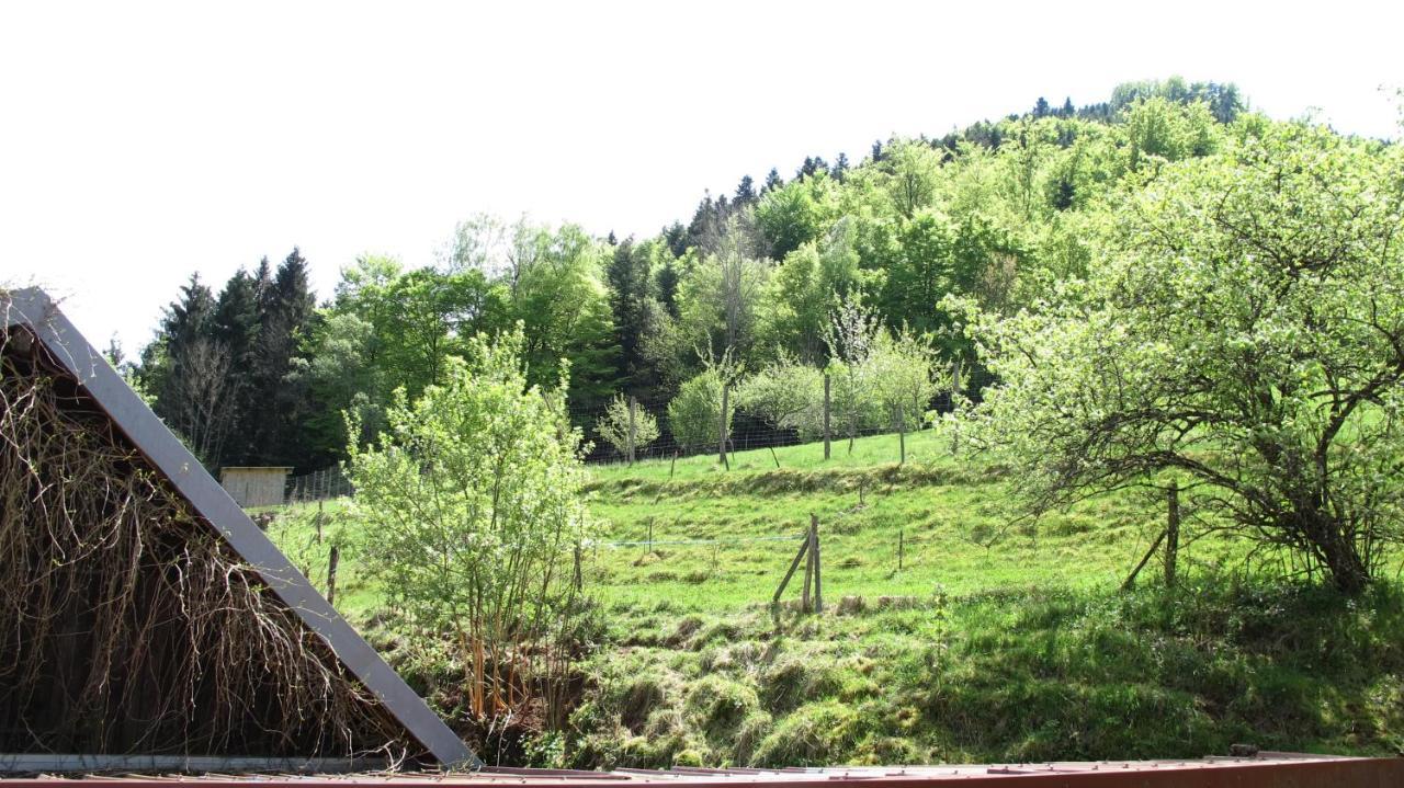 Gite Le Creux Chene Rombach-le-Franc Εξωτερικό φωτογραφία